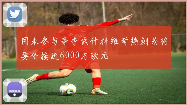 国米参与争夺武什科维奇热刺或将要价接近6000万欧元